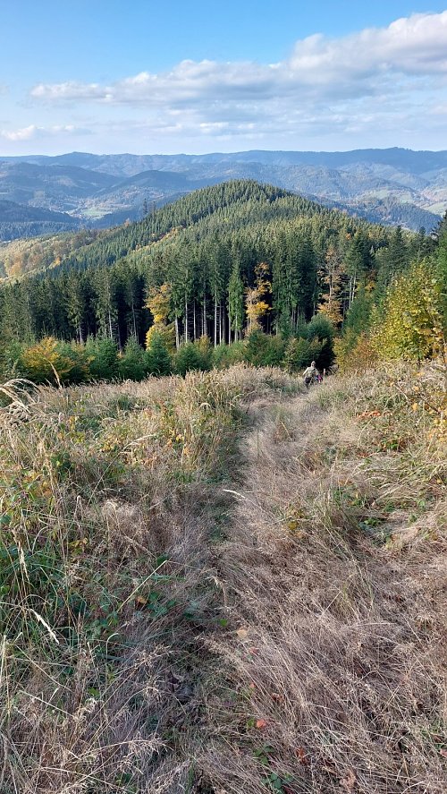 Kyčera nad Boroskou, autor: Mykas