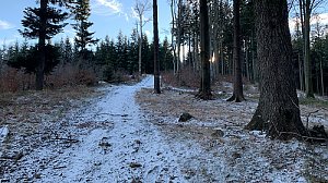 Tanečnice - hřeben