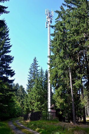 Henzlička