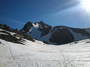 Weißspitze