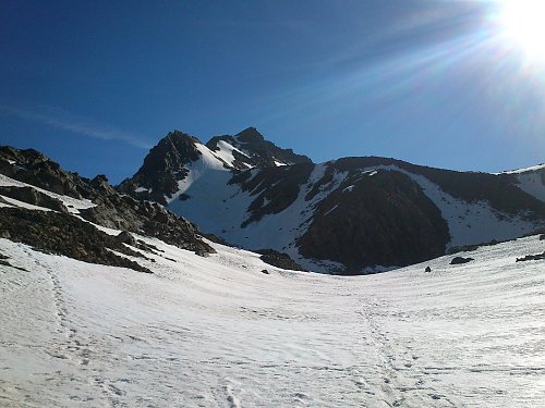 Weißspitze