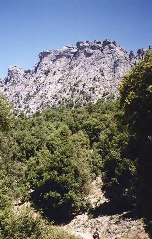 Monte Corrasi