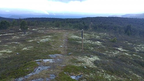 Tjørnåsen og Tylldalsutsikten