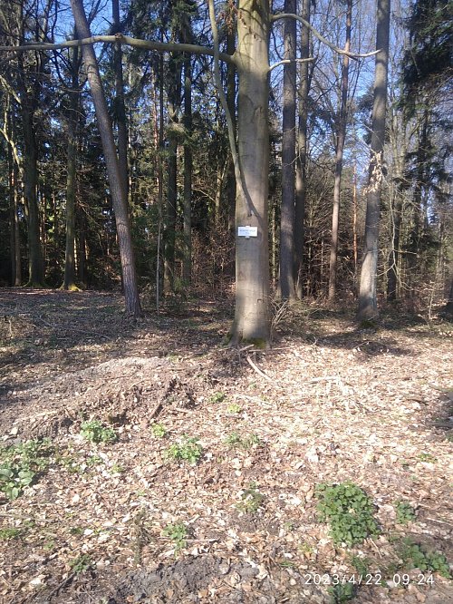 Slídový vrch