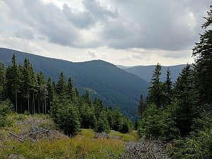 Bear Ridge