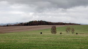 Ptačí vrch