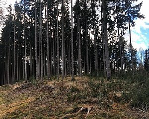 Křížovka J