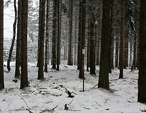 Hory Matky Boží - S vrchol