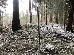 Kaltský vrch