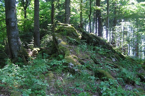 Kopšovec, autor: Szym, Mapy.cz