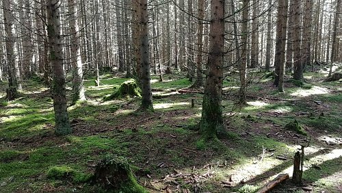 Mlýnský vrch, autor: Vladimír Grančay