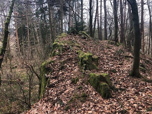 Želivský vrch - JJZ vrchol