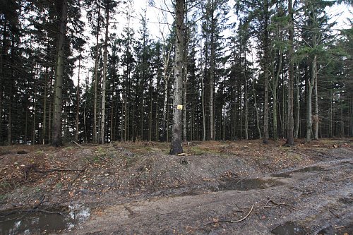 Róg Róg