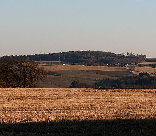 Buč