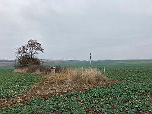 Kněždol