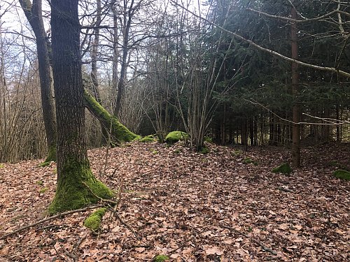 V Pahorkách, autor: Krtek