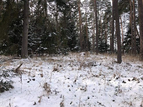 Na Krahulcích