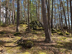 Písečný vrch - V vrchol