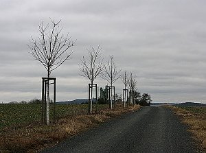 Mukava - V vrchol