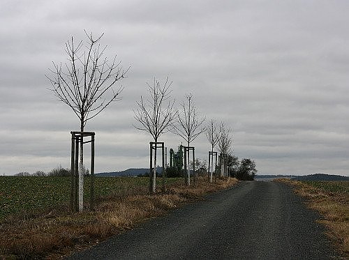 Mukava - V vrchol