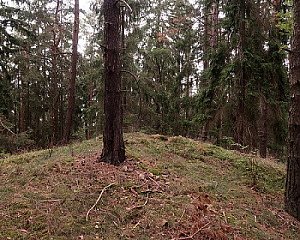 Hadí vrch - SZ vrchol