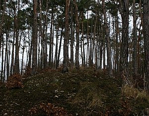 Ostrá Hůrka