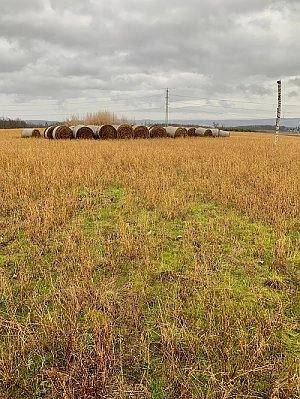 Hradinovský kopec