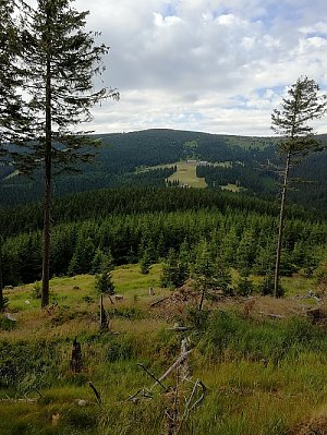 Wolf Ridge S