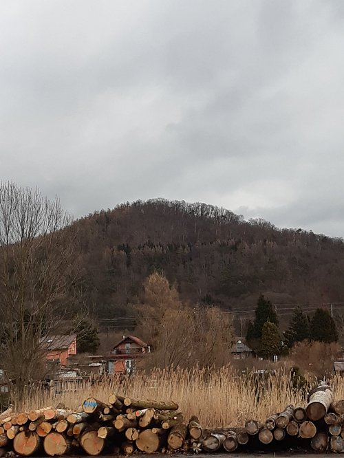 Třebovské hradisko