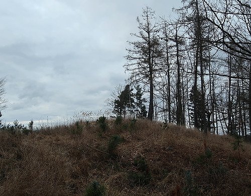 Cikánovka