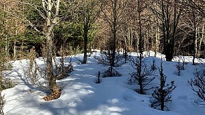 Above Bedřich's Klauz Z