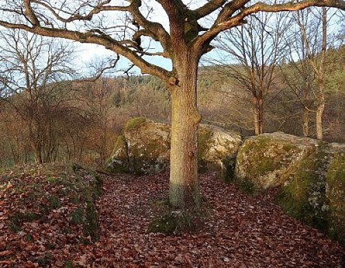 Komberk, autor: Bouřka