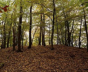 Hradiště