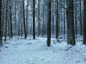 Nad Rozvodím - SV vrchol
