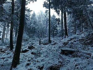 Nad Rozvodím - SZ vrchol