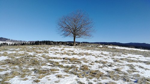 Schánělův kopec - JZ vrchol