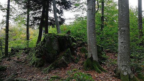 Žlíbský vrch - JV vrchol