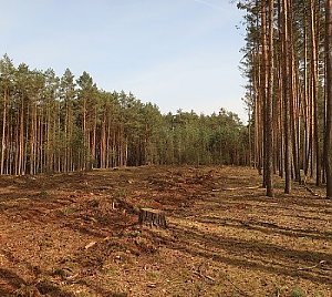 Na Bohoutově - J vrchol