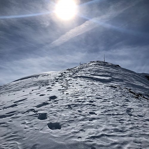 Monte Belvedere