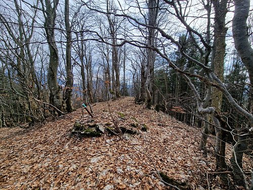 Žarnovka, autor: Rastislav Biarinec