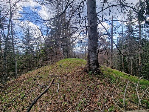 Osičné, autor: Rastislav Biarinec