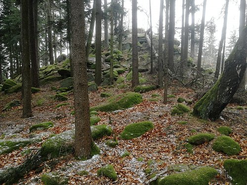 Kuřský vrch