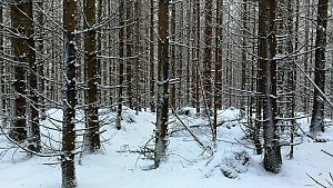 Radvanovický hřbet - S vrchol