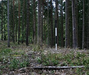 Buková hora - V vrchol