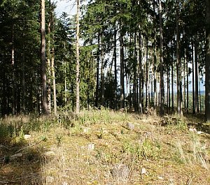 Buková hora - V vrchol III