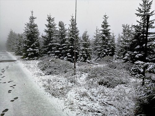 Přední Planina, autor: Vladimír Grančay