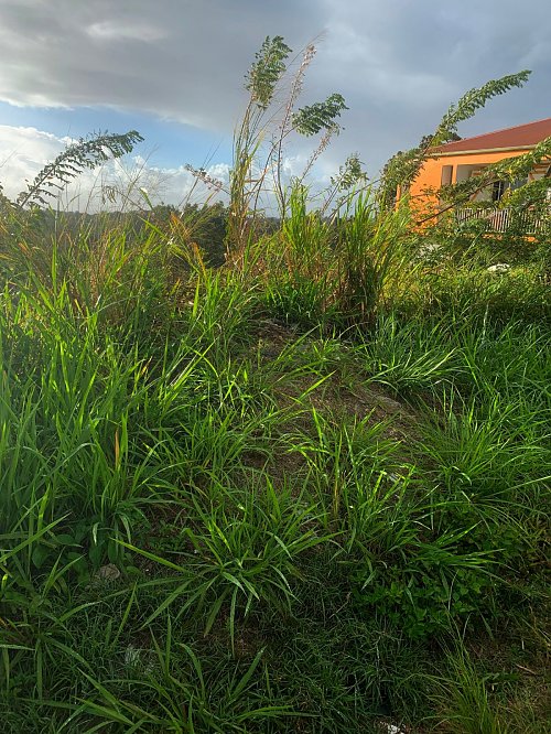 Morne l'Escade