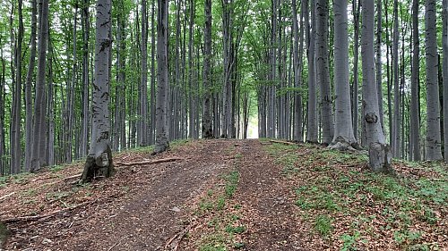 Kozubová J vrchol