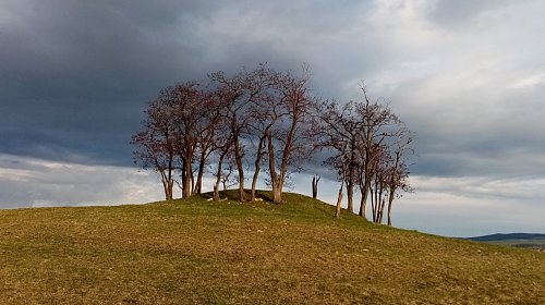 Šibenica