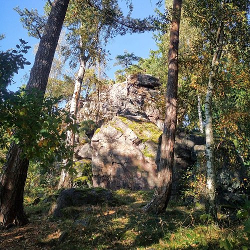 Světovina JV